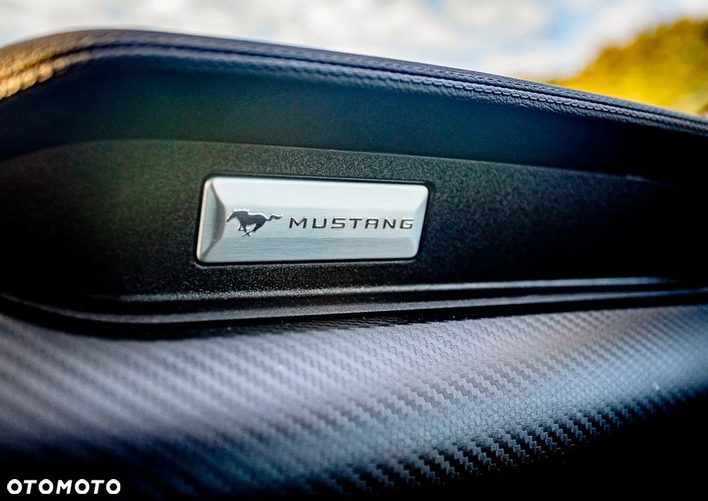 Ford Mustang - 39
