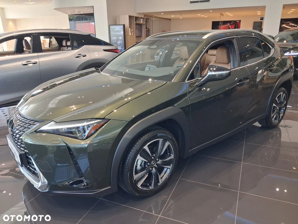 Lexus UX 300h Business - 2