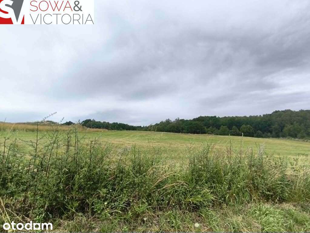 Panoramiczny widok na szczyty gór,  ok 1 km od PKP - Pełny obrazek: 5/11