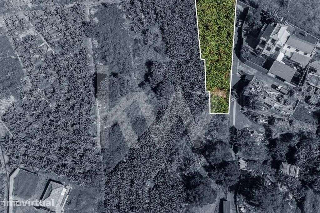 Terreno Urbanizável - 800m2 - São Martinho | Funchal - Grande imagem: 4/21