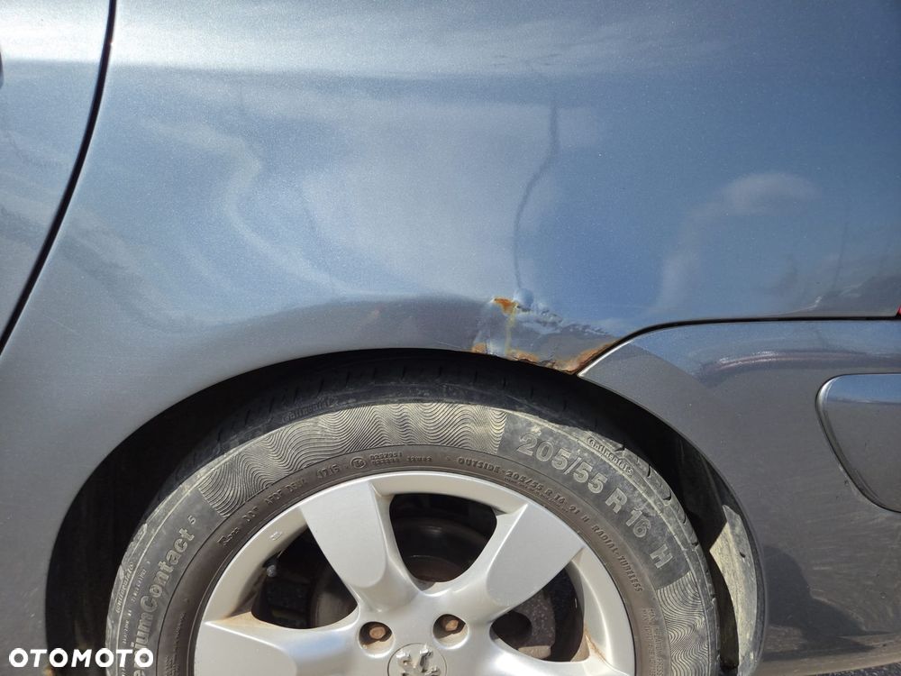 Peugeot 307 1.6 Oxygo - 18
