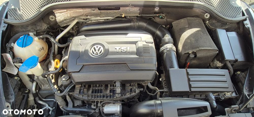 Volkswagen Beetle - 11