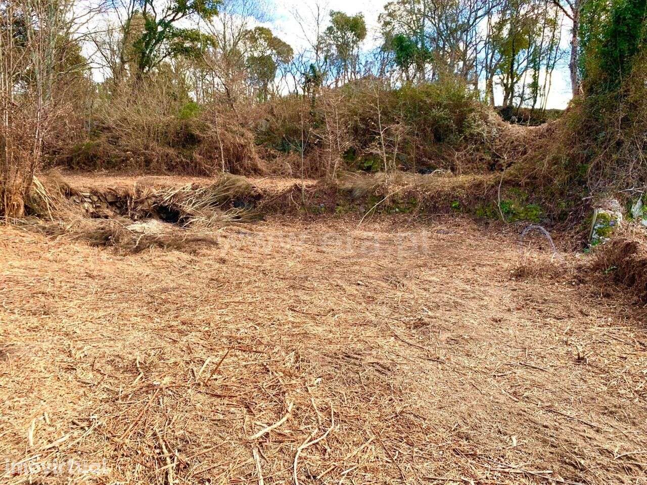 Terreno / Cinfães, Fornelos - Grande imagem: 3/8