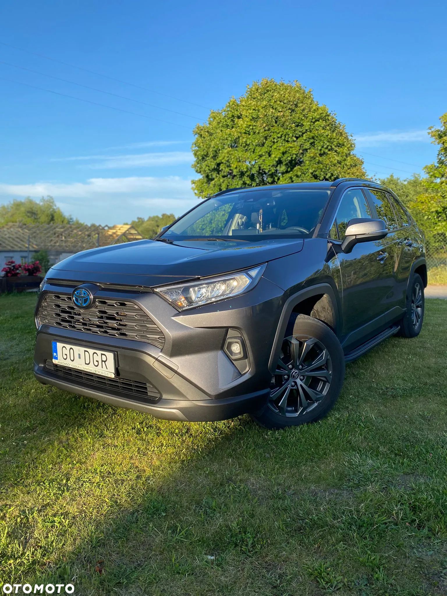 Toyota RAV4 2.5 Hybrid Active 4x2 - 1