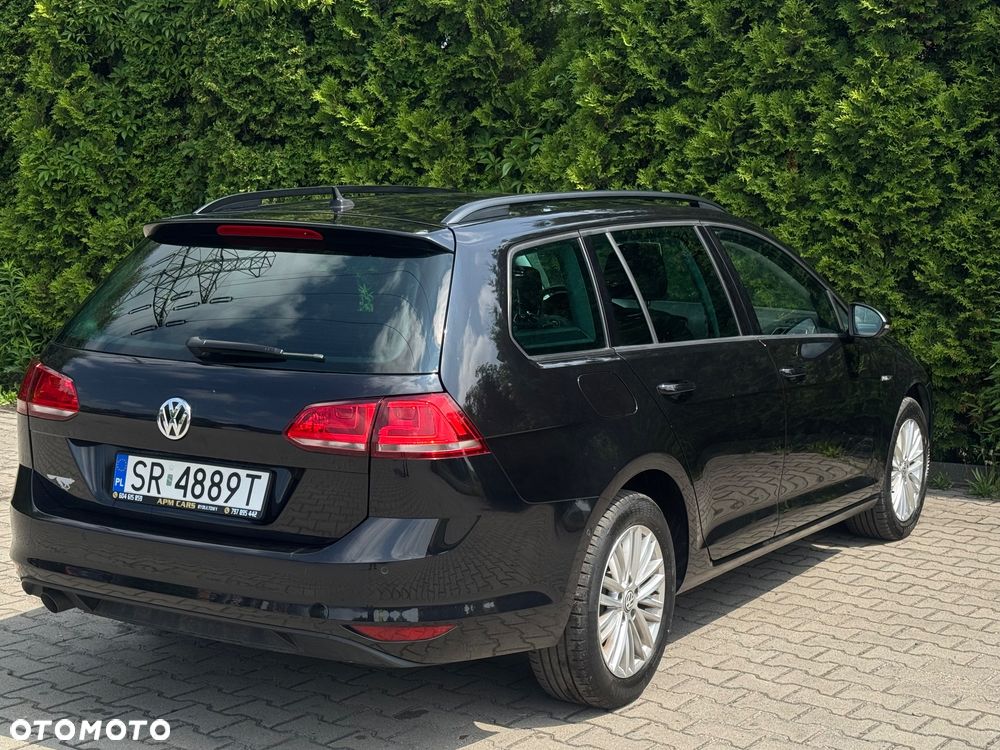 Volkswagen Golf 1.6 TDI BlueMotion Technology DSG Cup - 10