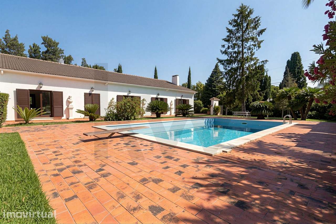 Refúgio na Arrábida | Quinta de 1,5ha | moradia térrea| piscina | cort - Grande imagem: 2/60
