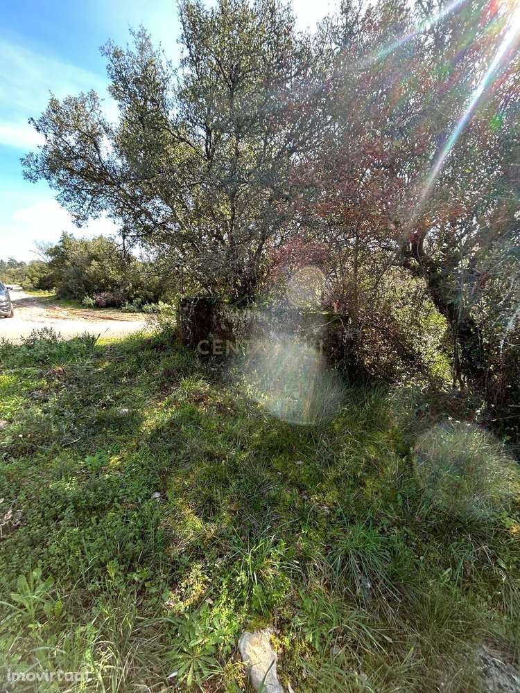 Terreno rústico Alcaria - Grande imagem: 4/12