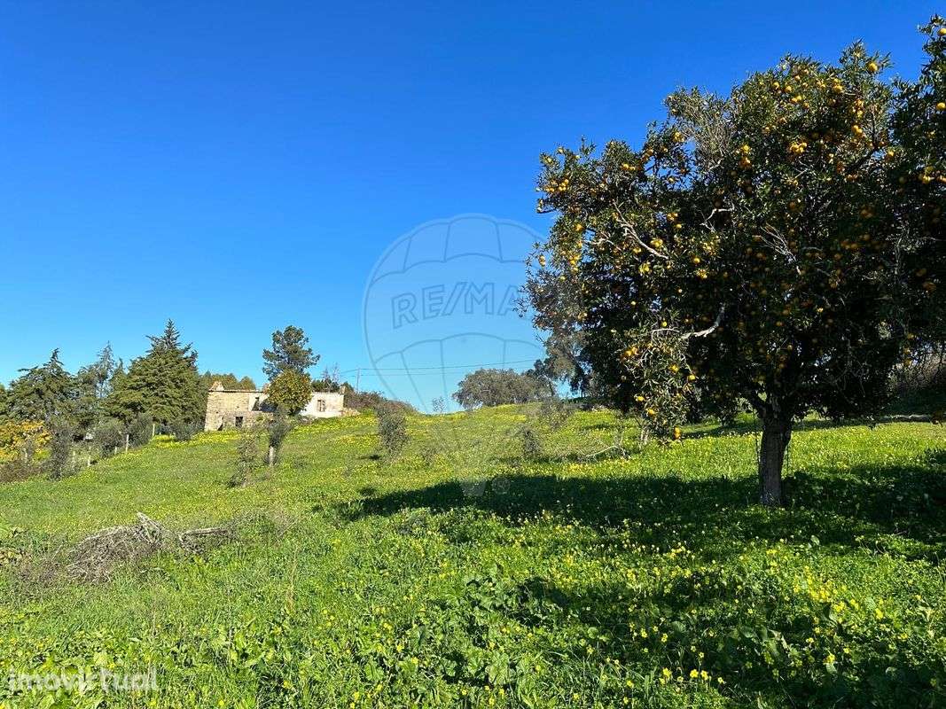 Terreno  para venda - Grande imagem: 4/9