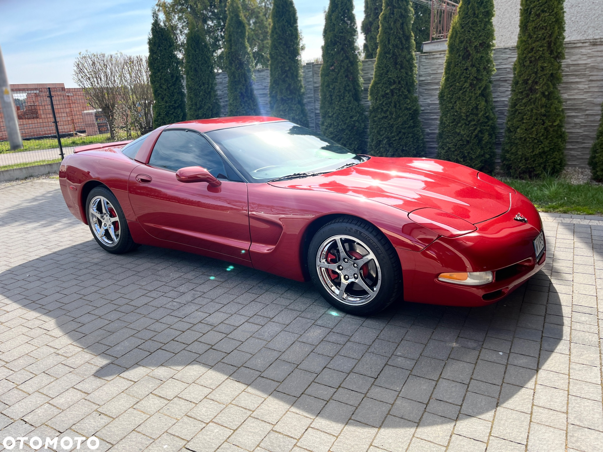 Chevrolet Corvette - 23