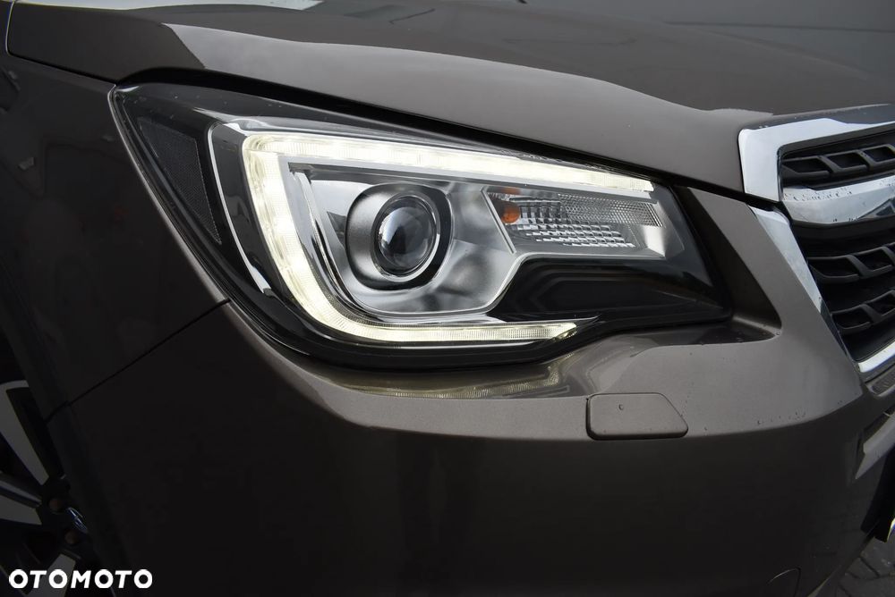 Subaru Forester - 19