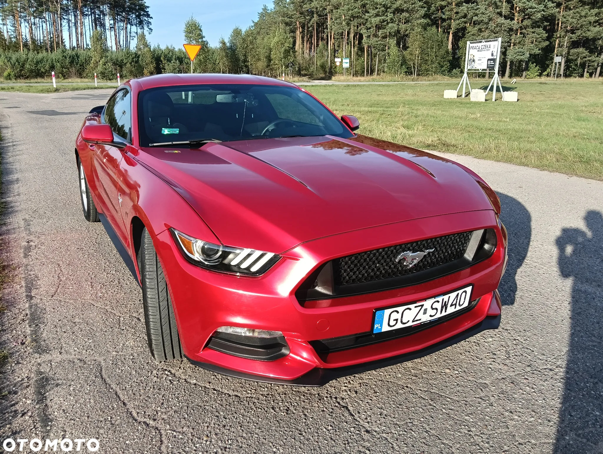 Ford Mustang - 9