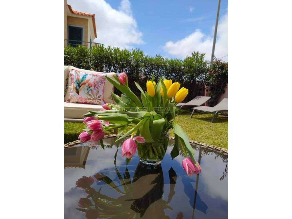 Arrenda-se Moradia no Porto Santo - Grande imagem: 4/60