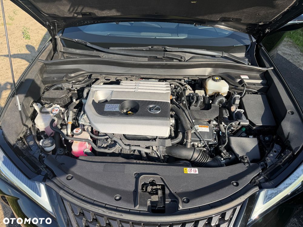 Lexus UX 250h Elegance 2WD - 28