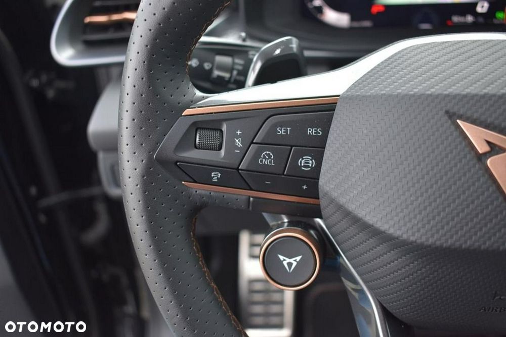 Cupra Terramar 2.0 TSI 4Drive DSG - 19