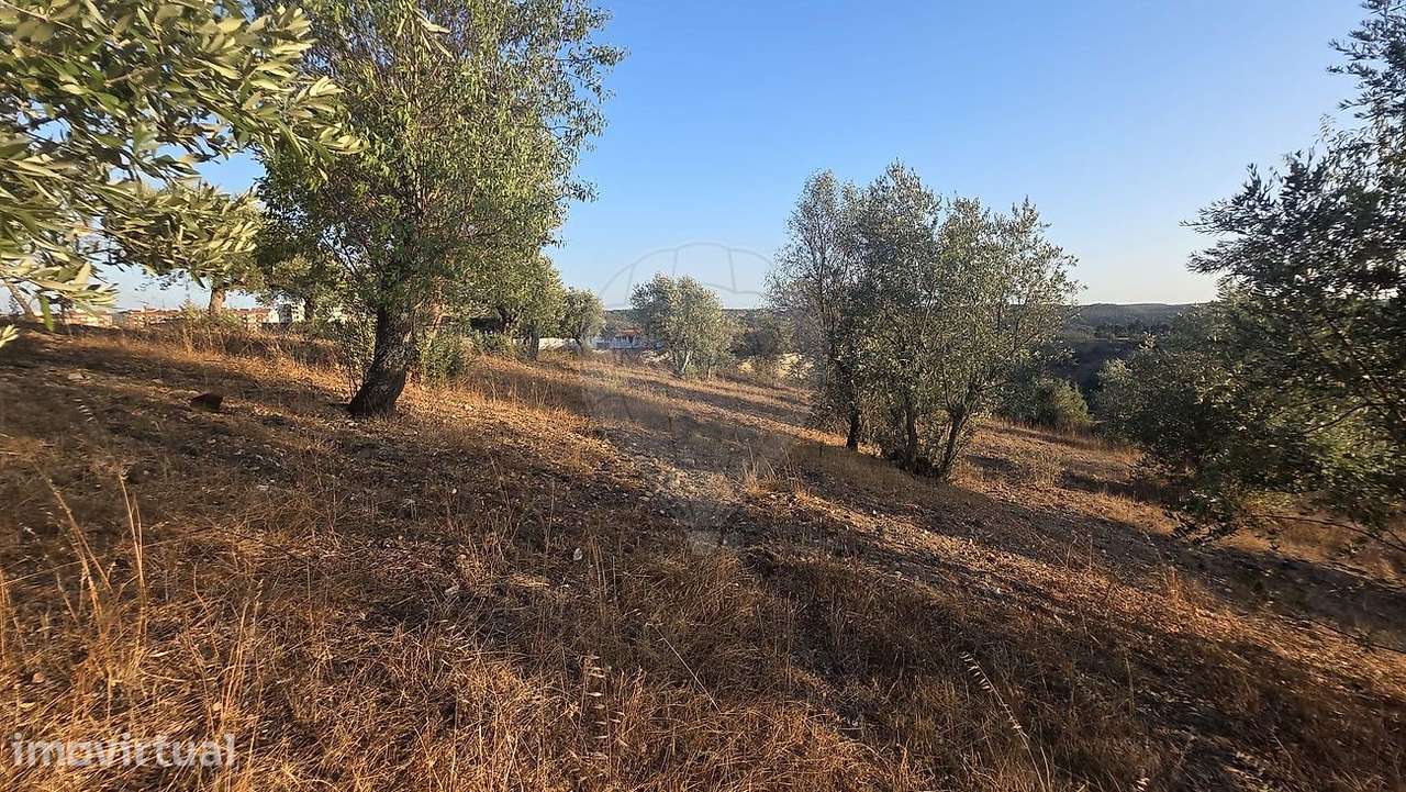 Terreno  para venda - Grande imagem: 4/11