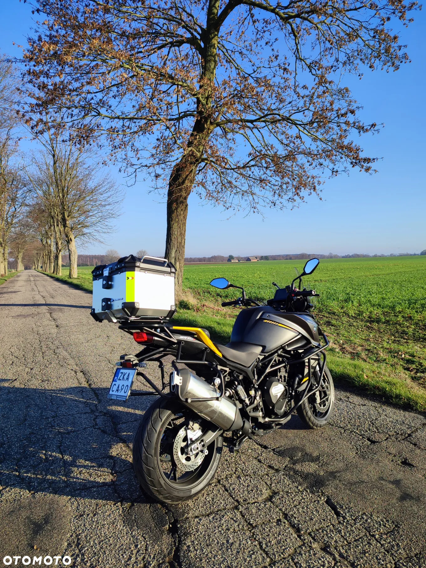 QJMOTOR SRT 800S - 15