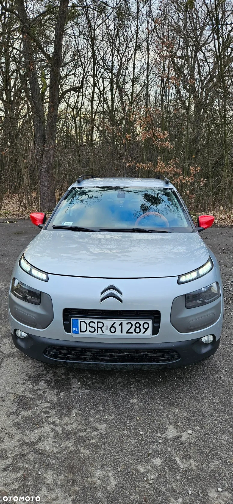 Citroën C4 Cactus - 7