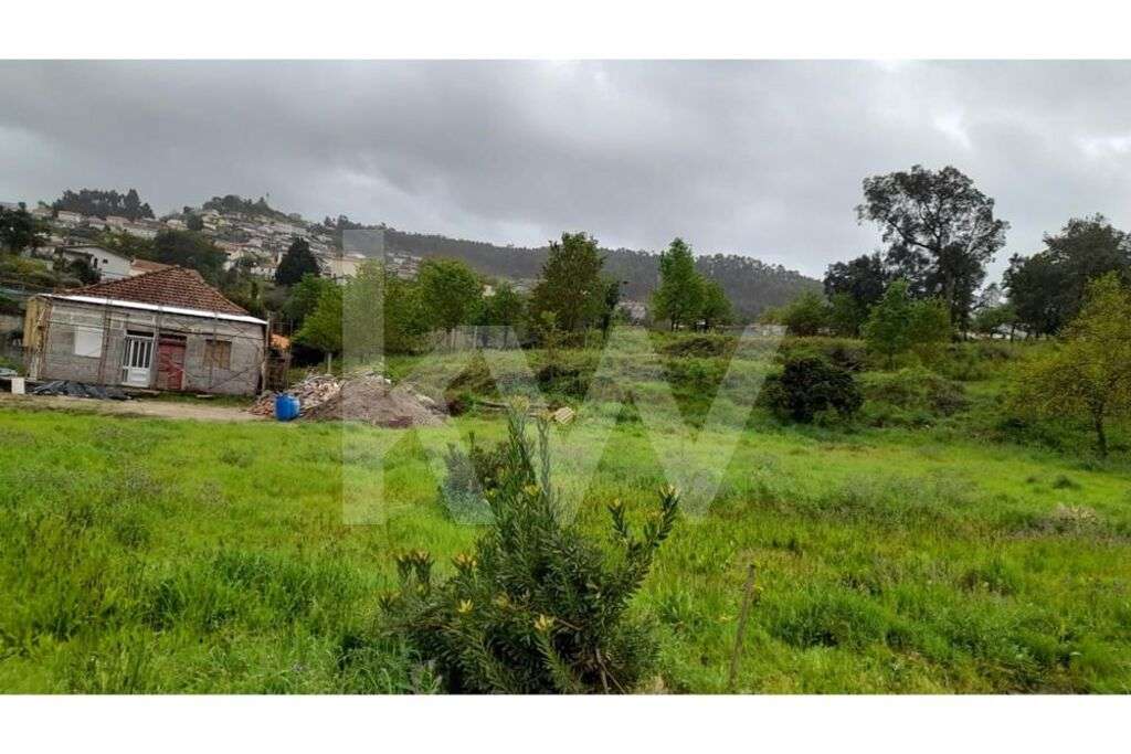 Terreno com possibilidade de  construção moradia de quatro frentes-Reb - Grande imagem: 3/12