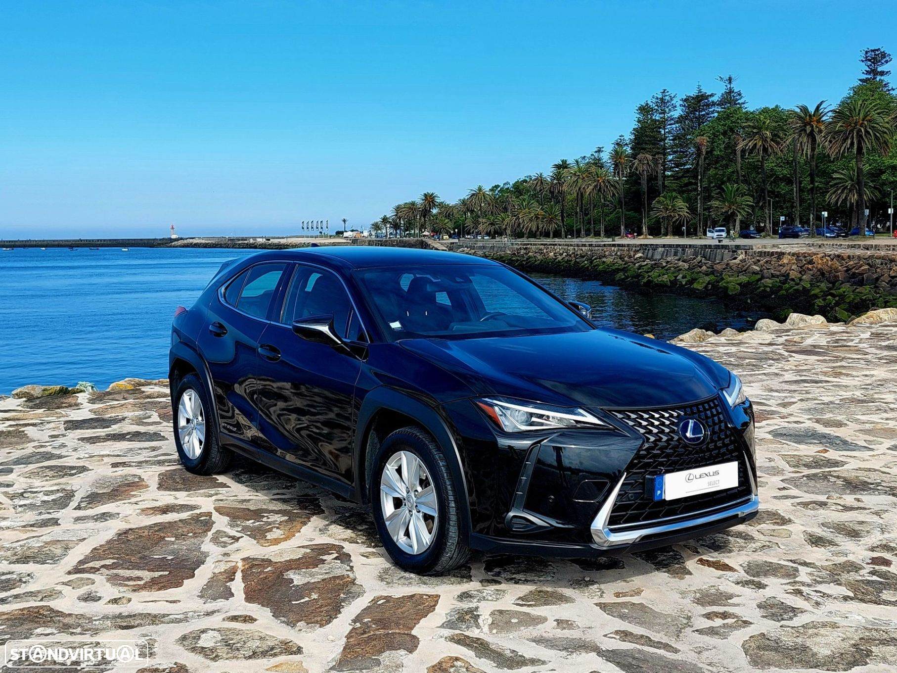 Lexus ux-250h Business - 8
