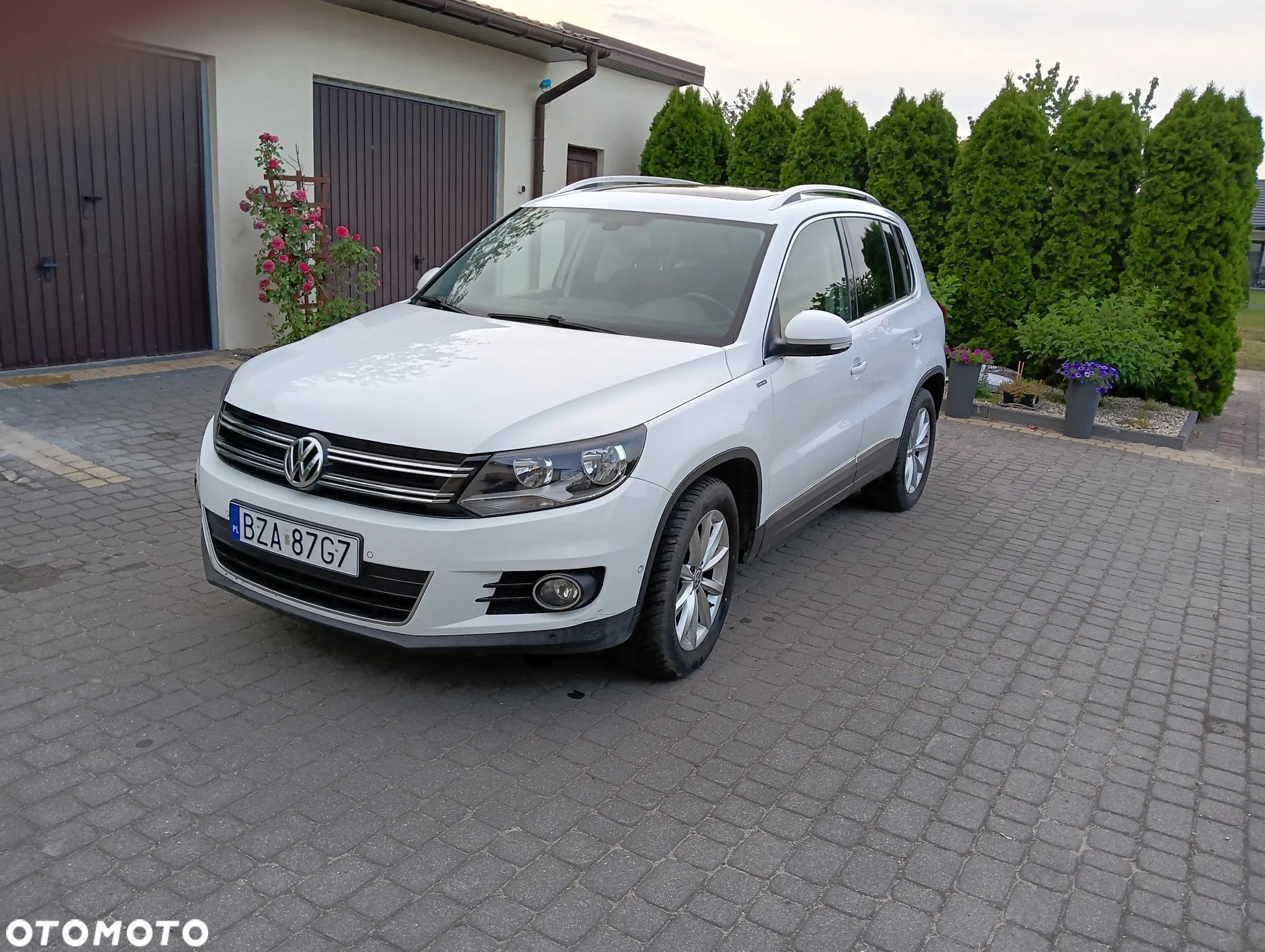 Volkswagen Tiguan - 1