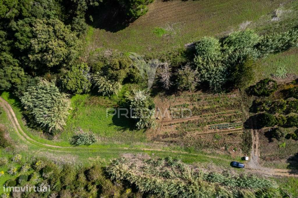 Terreno em Ademas, perto da Lagoa de Santo André - Grande imagem: 2/16