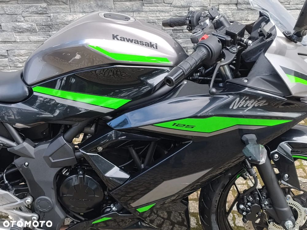 Kawasaki Ninja - 18