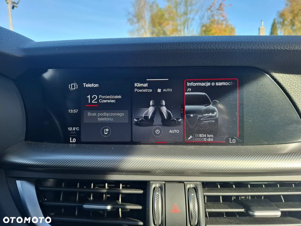 Alfa Romeo Stelvio 2.0 Turbo Veloce Q4 - 24