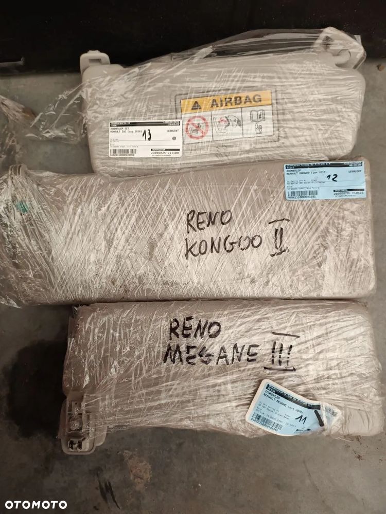 SŁONECZNIKI  RENAULT - 6