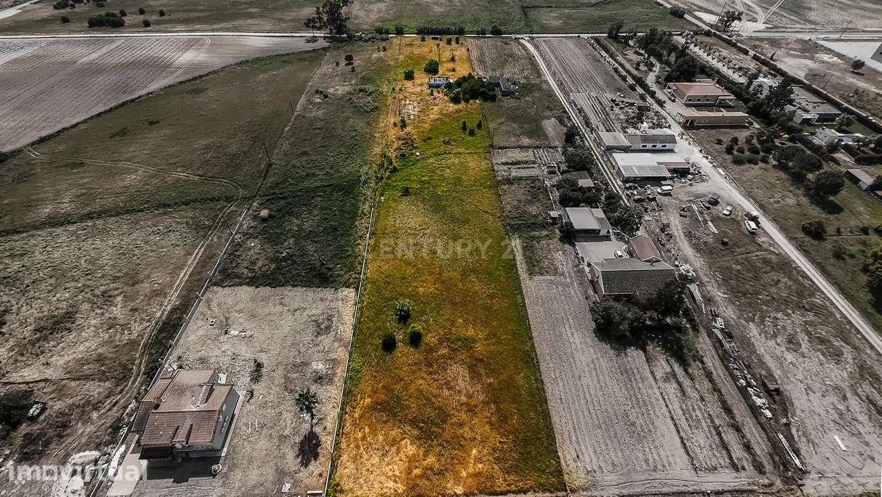 Herdade em Pegões - Foros do Trapo - Grande imagem: 3/25