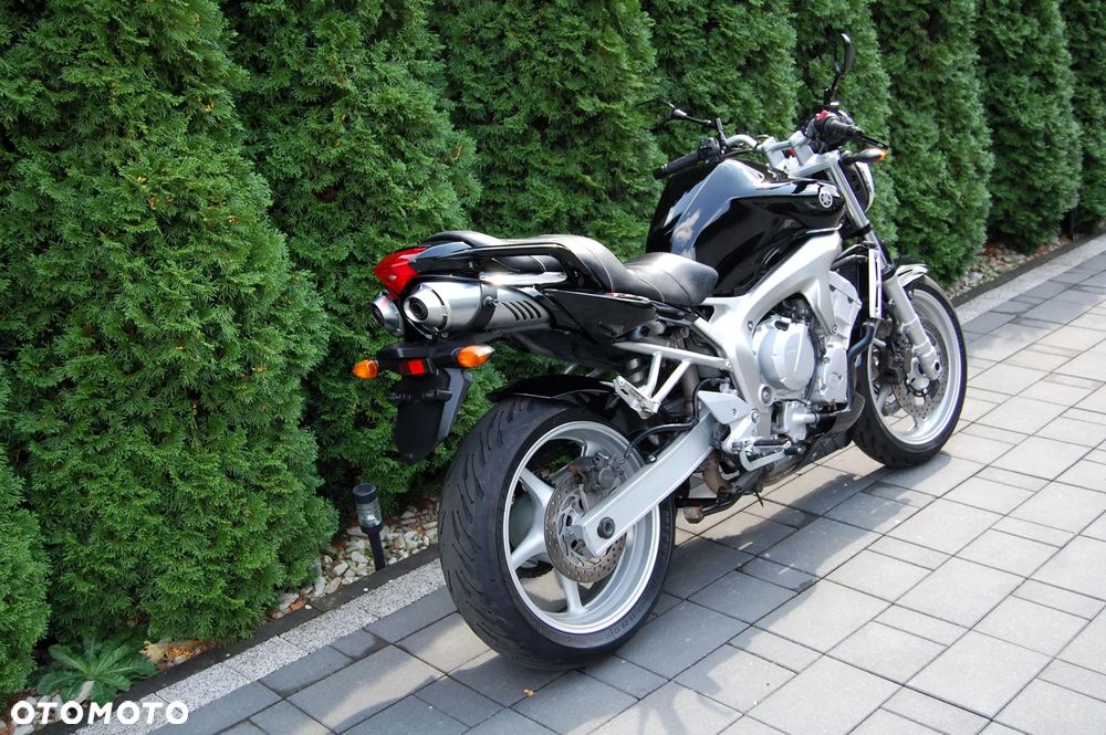 Yamaha FZ6 - 3