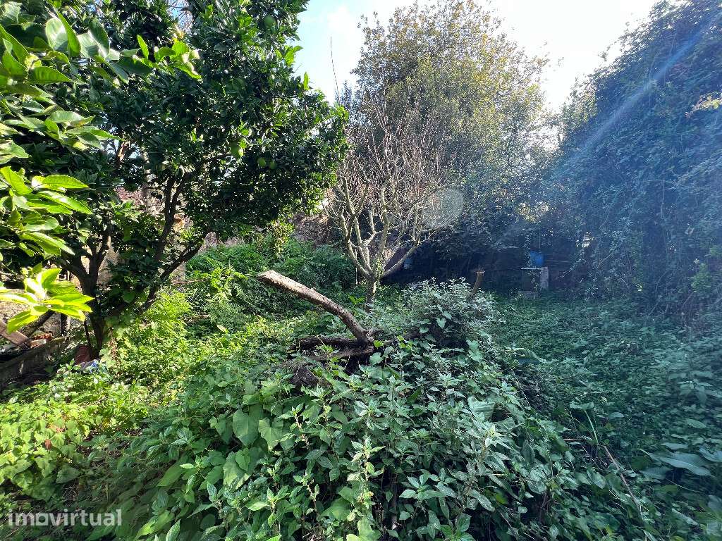 Moradia para reconstruir em zona de Oliveira do Douro, Porto - Grande imagem: 2/4