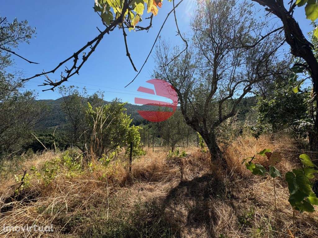 MORADIA C/TERRENO PARADINHA - Grande imagem: 5/19