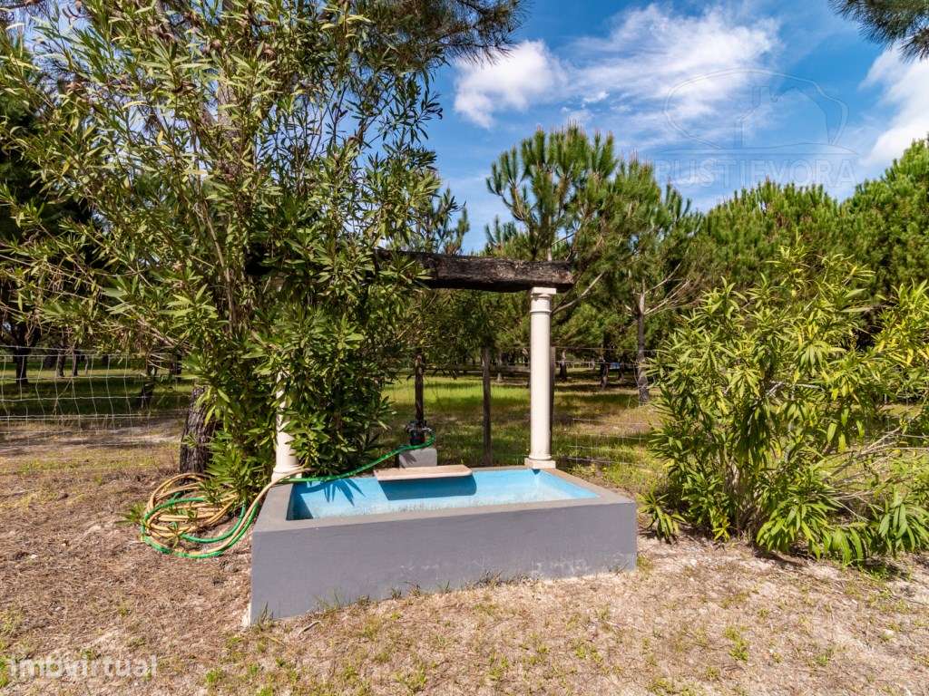 Herdade com 37 Ha com 6 Moradias para Habitação e/ou Turismo | Alcá... - Grande imagem: 3/60