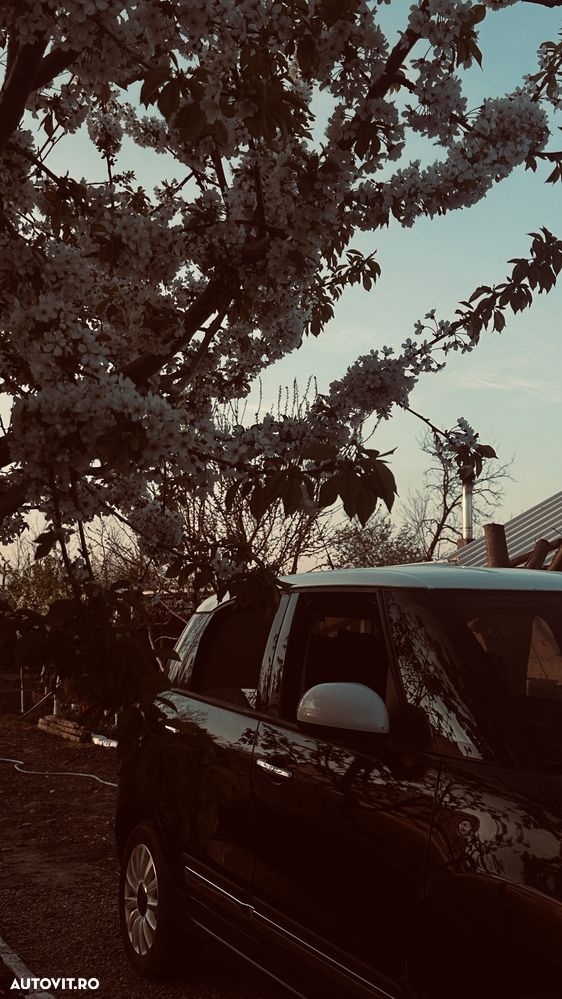 Fiat 500L - 13