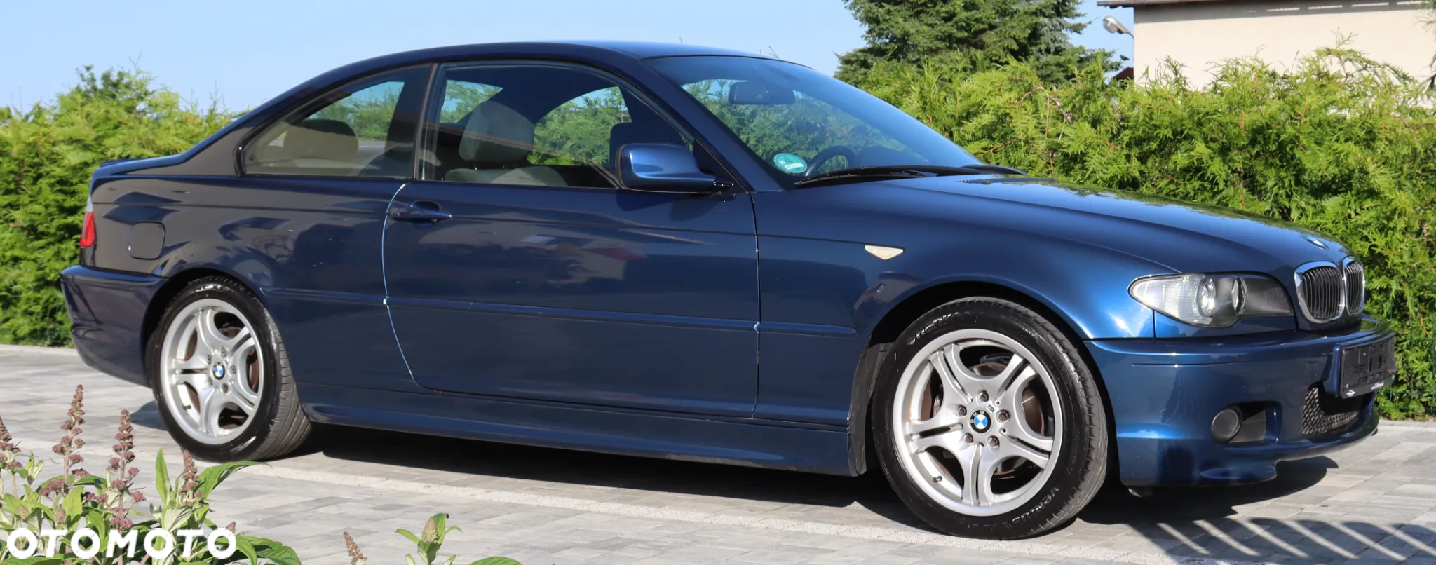 BMW Seria 3 318 Ci - 8