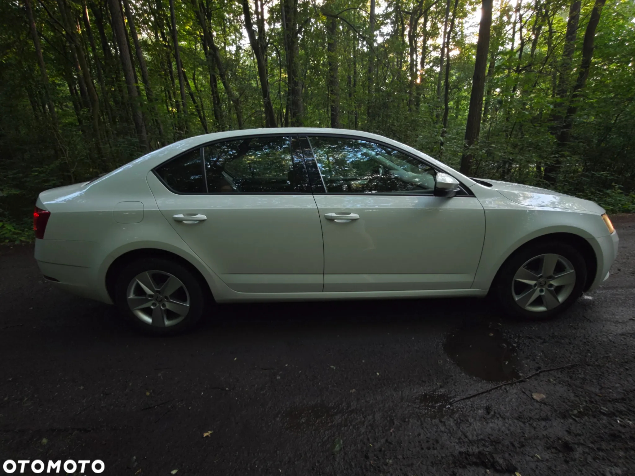 Skoda Octavia 1.6 TDI Ambition - 5