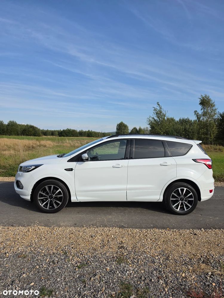 Ford Kuga 2019 photo 3
