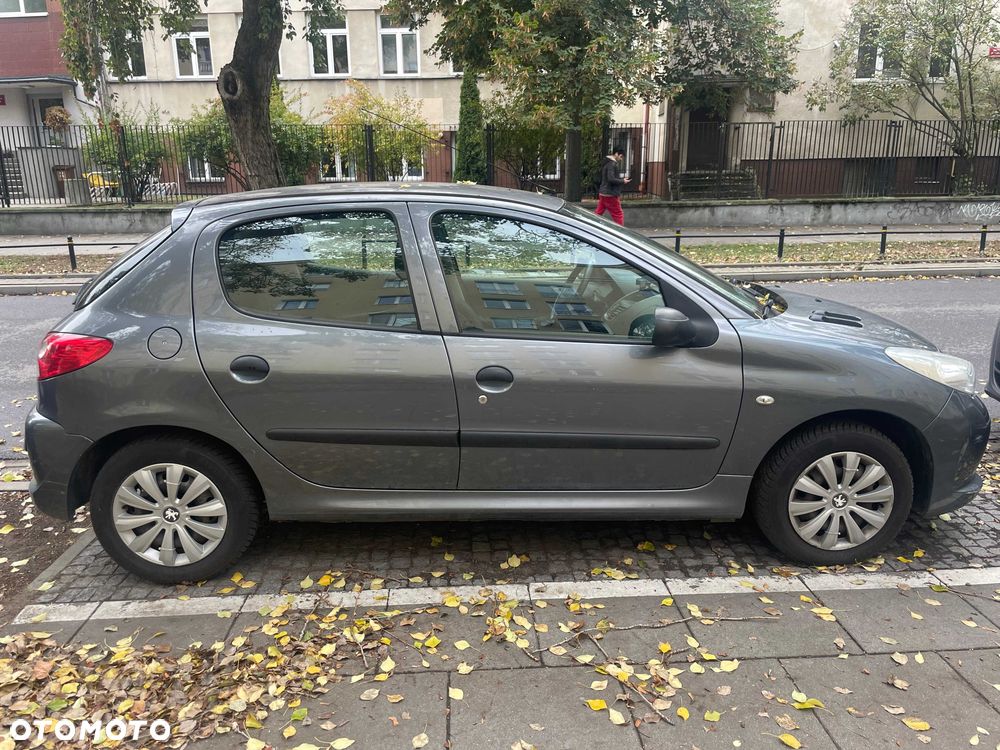 Peugeot 206 plus - 1