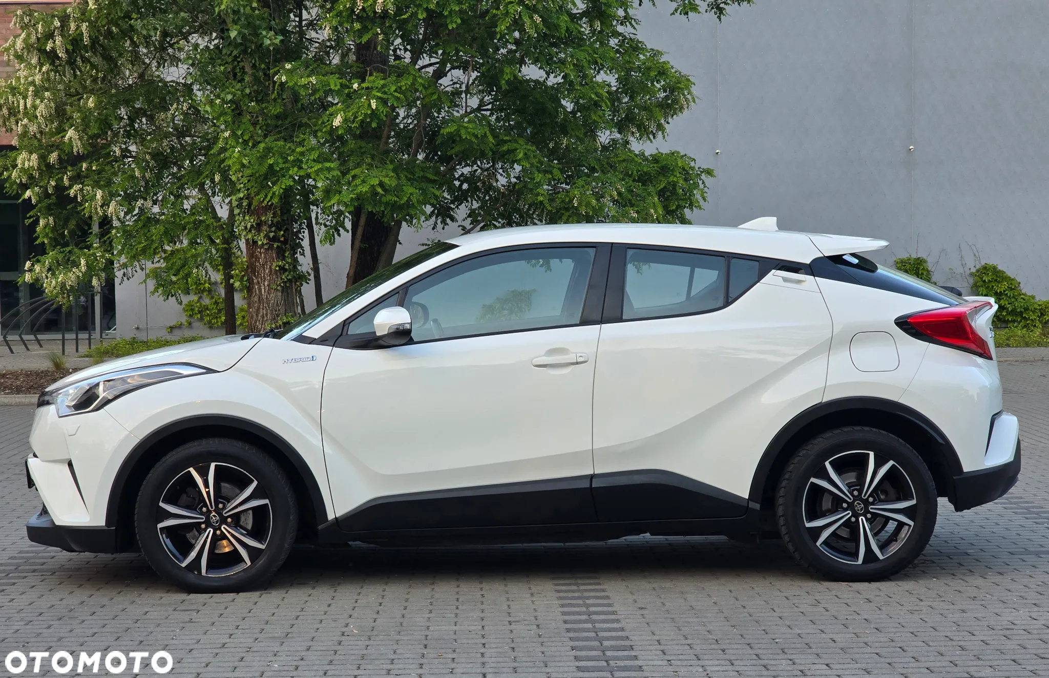 Toyota C-HR - 4