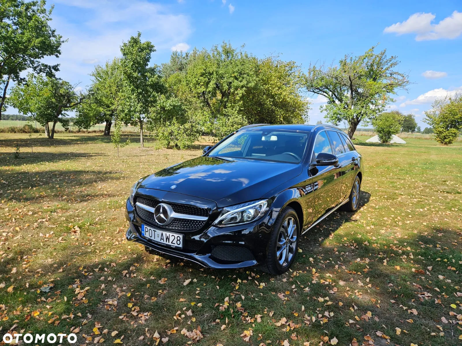 Mercedes-Benz Klasa C 250 d 4-Matic 9G-TRONIC - 22