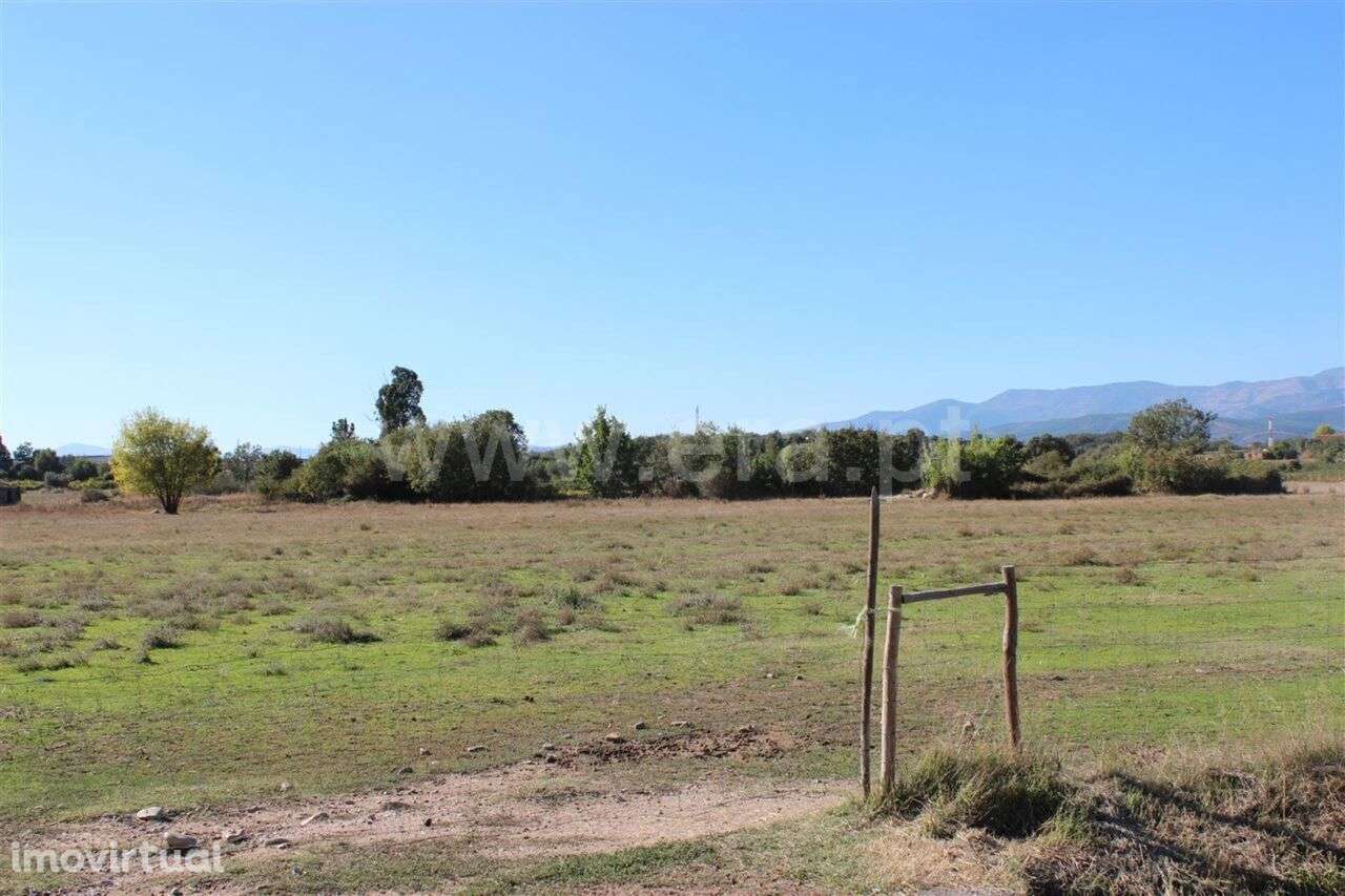 Terreno Rústico / Fundão, Valverde - Grande imagem: 3/3