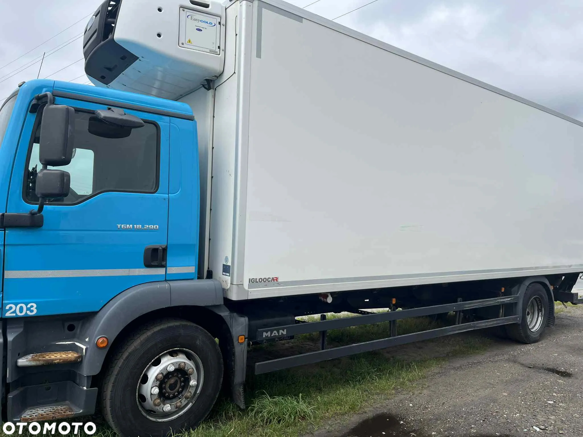 MAN TGM 18.290 CHŁODNIA 21PAL - 2