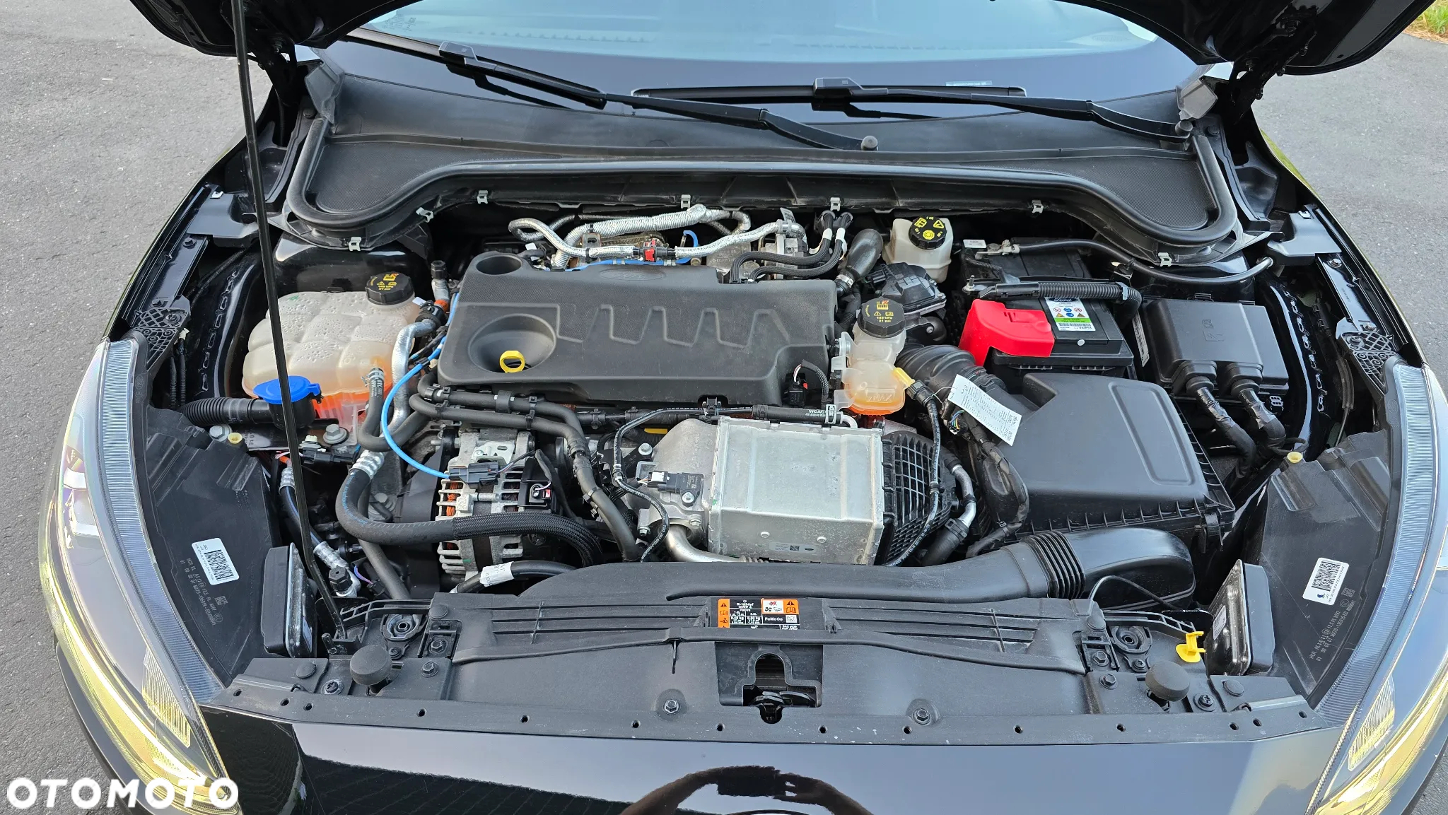 Ford Focus 2.0 EcoBlue Titanium X - 32