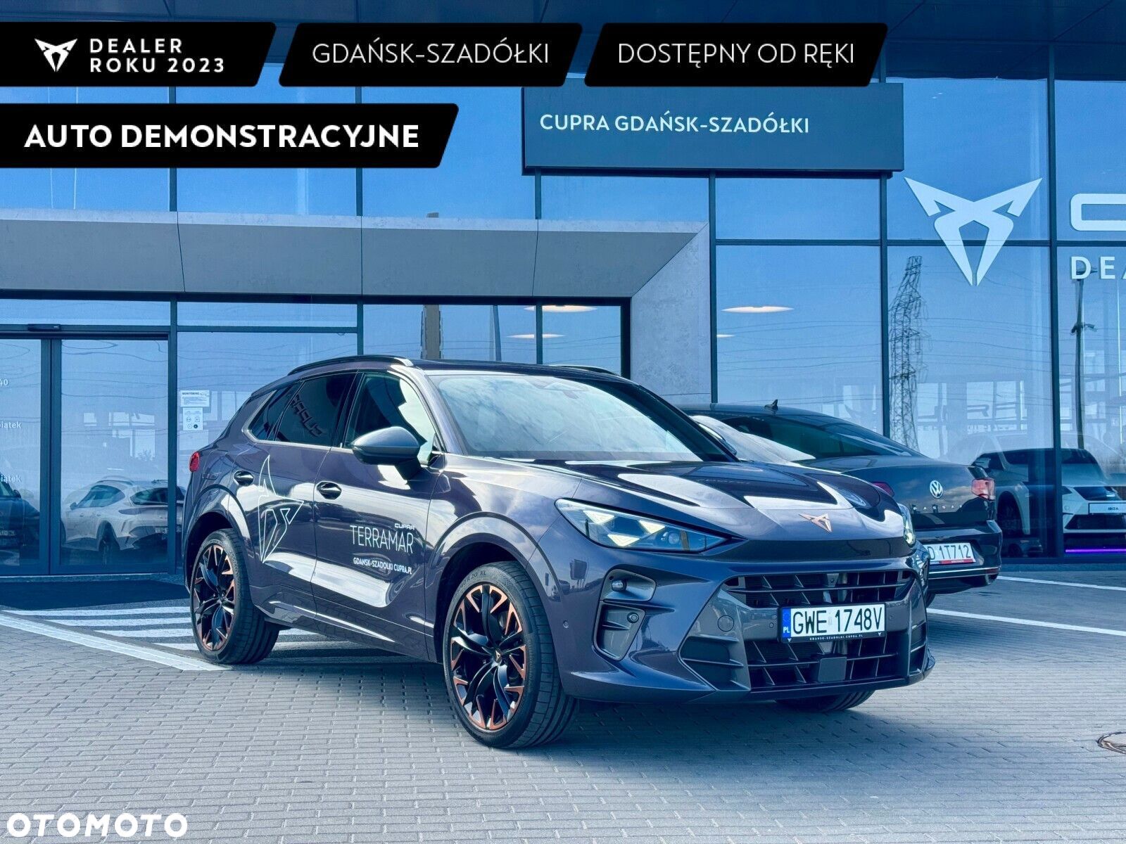 Cupra Terramar - 1