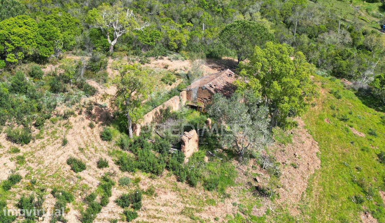 Propriedade com 20,8750 ha a 18 Km da Zambujeira do Mar - Grande imagem: 4/28