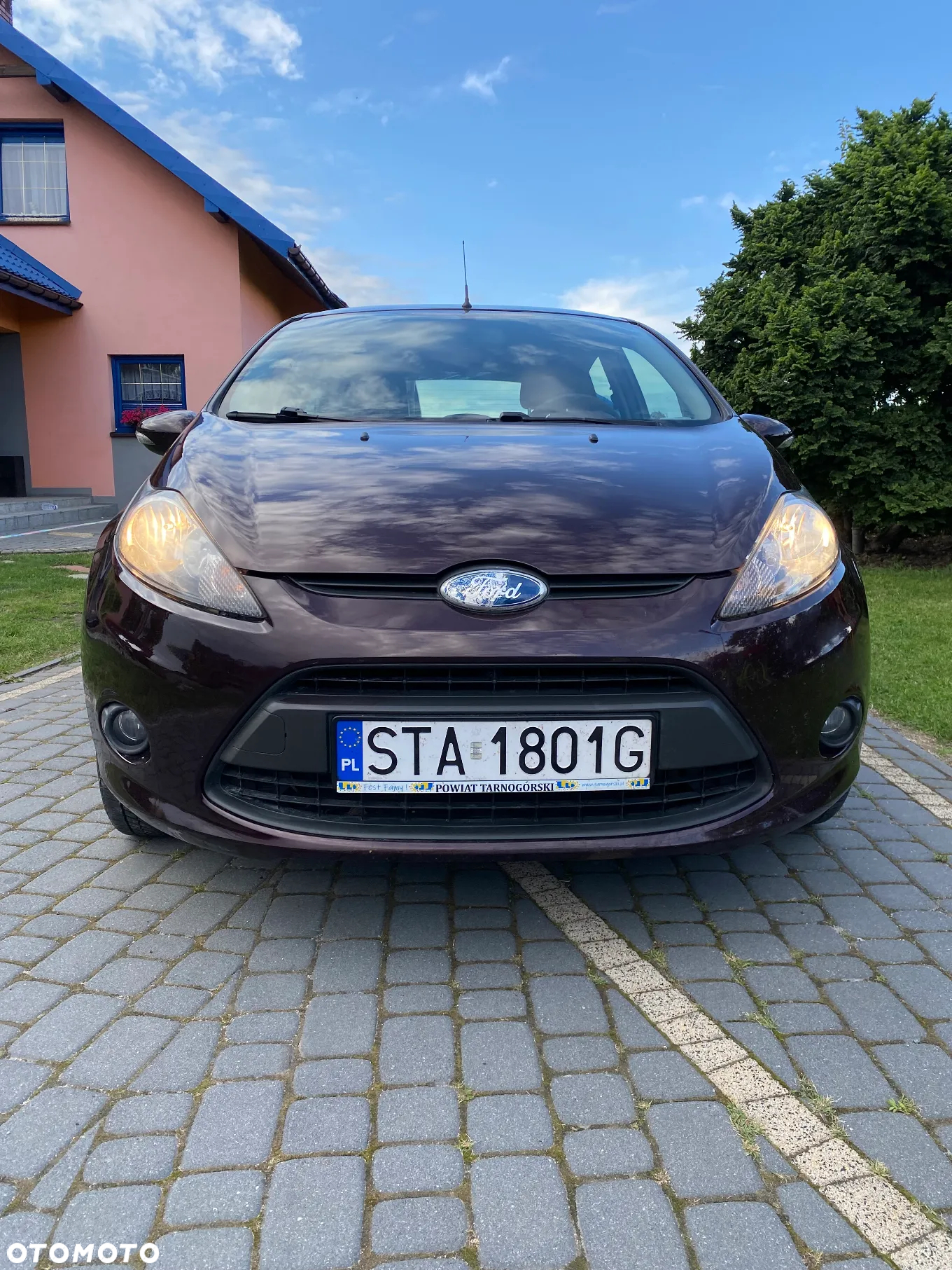 Ford Fiesta 1.25 Trend - 2