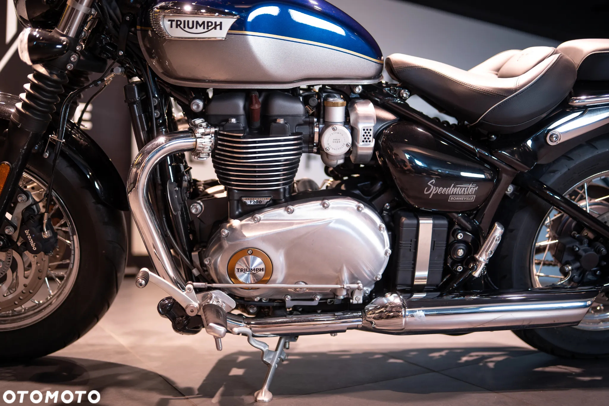 Triumph Speedmaster - 30
