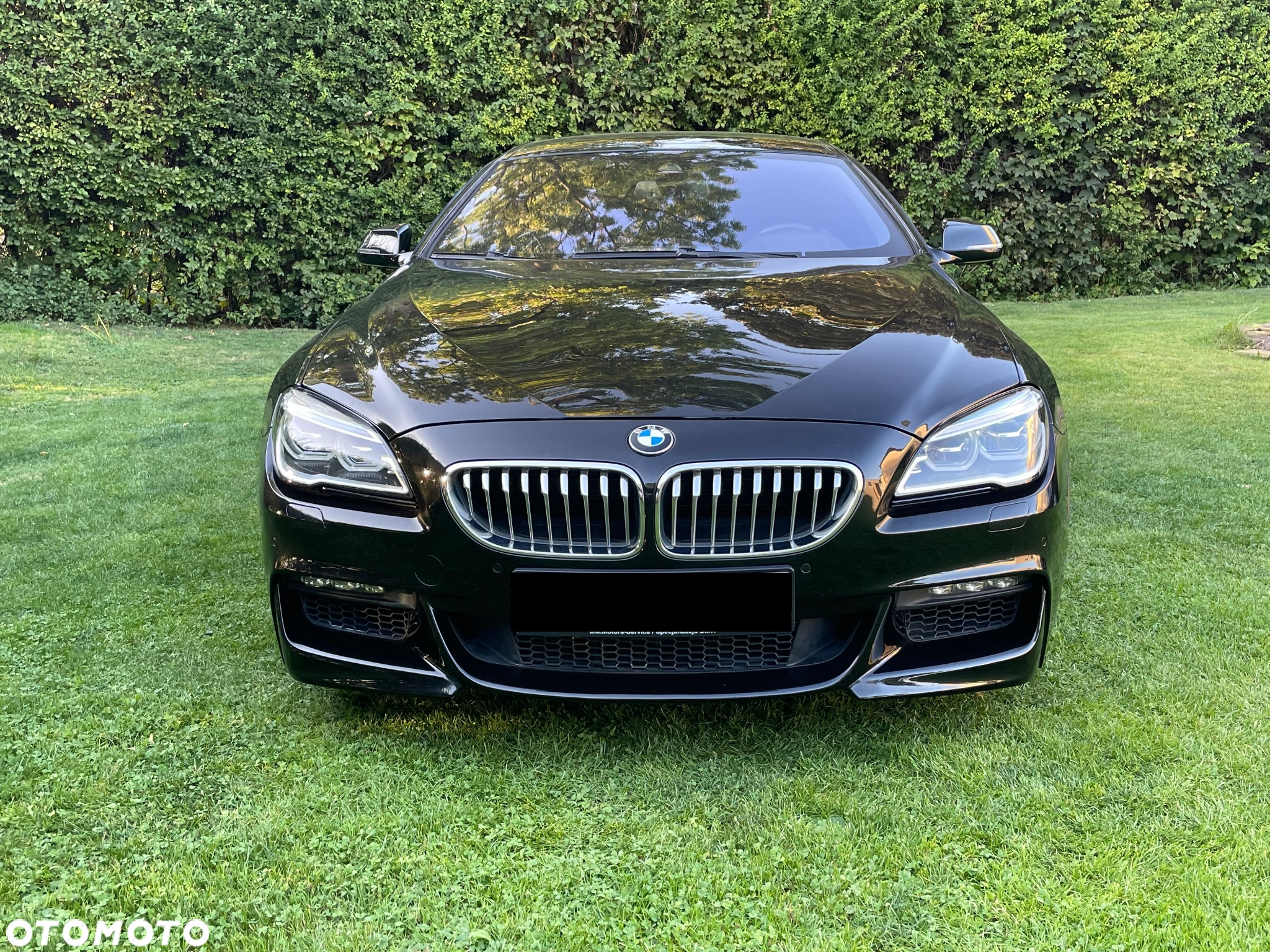 BMW Seria 6 650i xDrive Edycja M Sport - 3