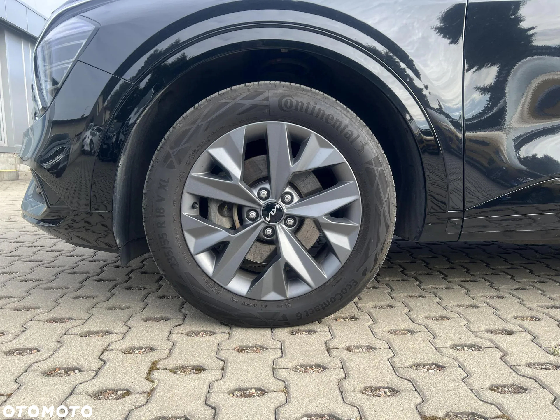 Kia Sportage 1.6 T-GDI MHEV GT Line 4WD DCT - 18