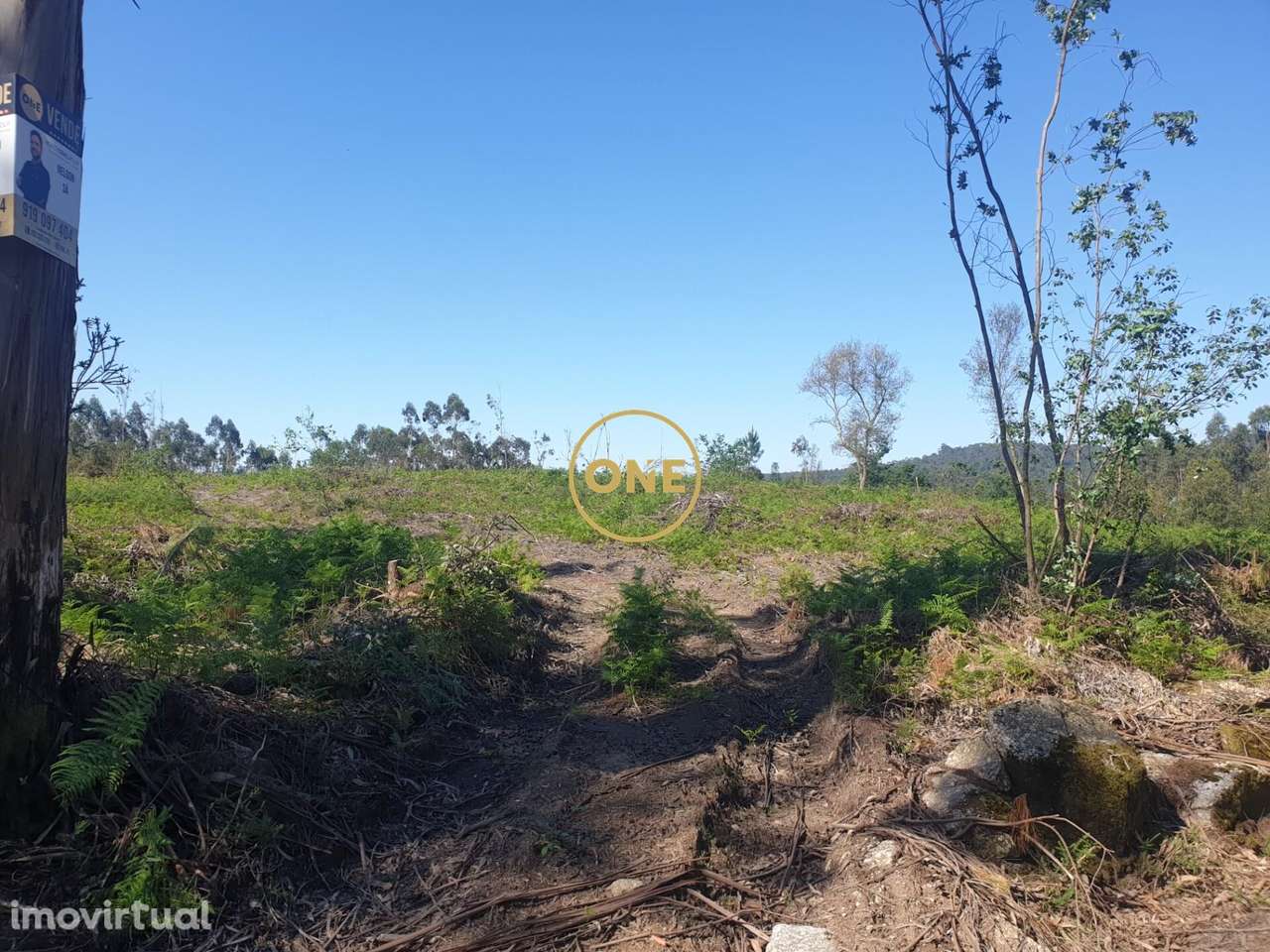 Terreno Rústico para Venda em Silveiros, Barcelos - Grande imagem: 5/7